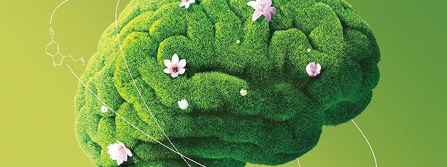 [Андрей Патрушев] Гормоны счастья 2