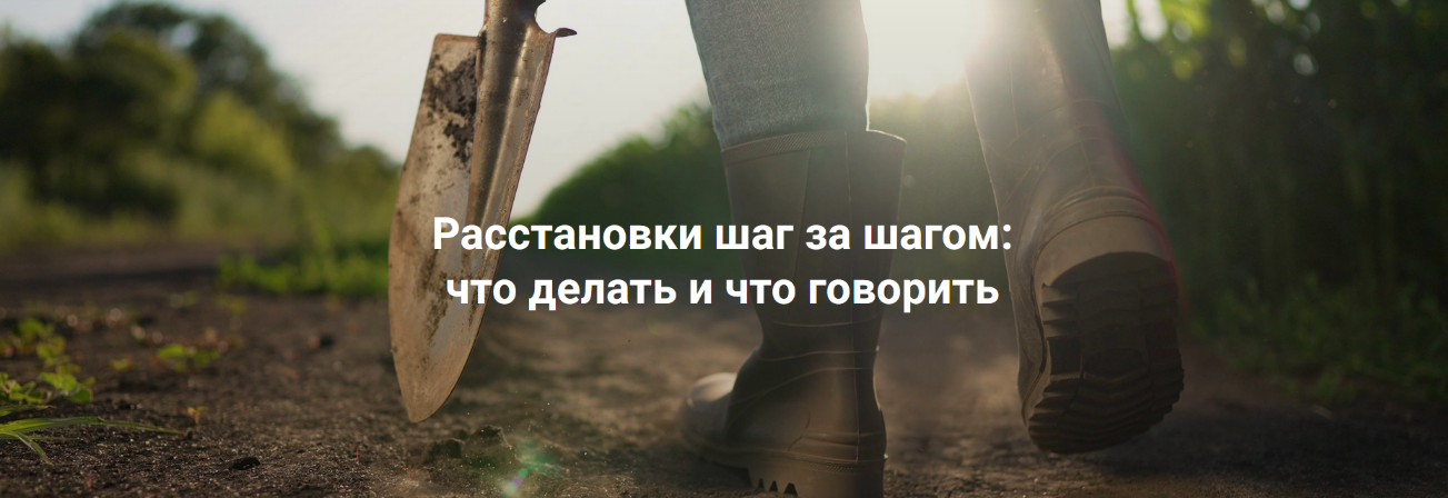 [Елена Веселаго] Расстановки шаг за шагом: что делать и что говорить. Без места расстановщика (2023)