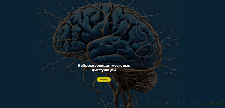 [Салима Саиди] Нейрокоррекция мозговых дисфункций. Ноябрь (2024)