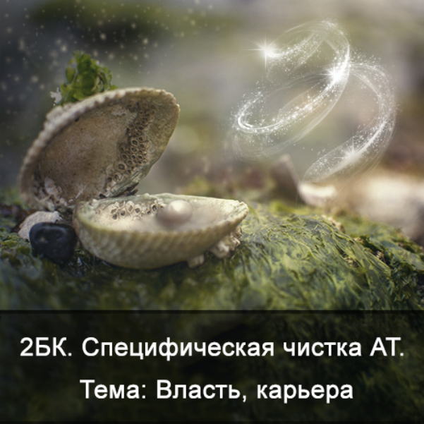 [К. Меньшикова] 2БК Специфическая чистка астрального тела. Тема: власть, карьера [Школа Меньшиковой] 2024