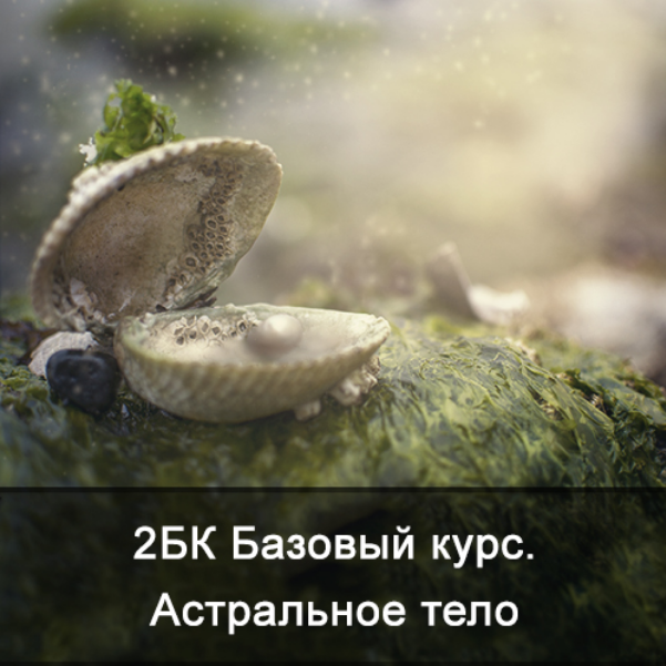 [Ксения Меньшикова] 2БК Базовый курс. Астральное тело [Школа Меньшиковой]