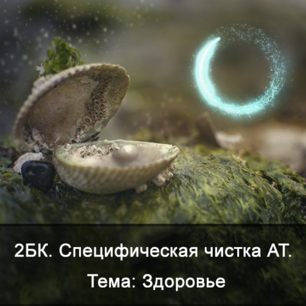 [Ксения Меньшикова] 2БК Специфическая чистка астрального тела. Тема: Здоровье [Школа Меньшиковой]