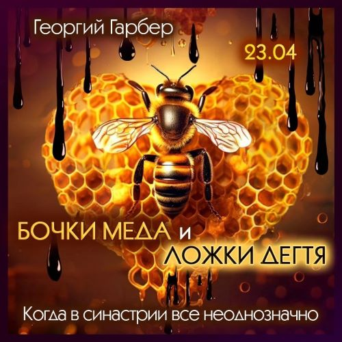 [Георгий Гарбер] Бочки меда и ложки дегтя. Когда в синастрии все неоднозначно (2024)