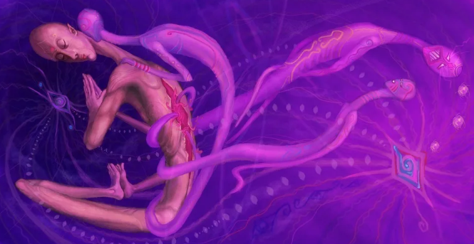 [Татьяна Аверина] Сущности: что с ними делать? (2022)