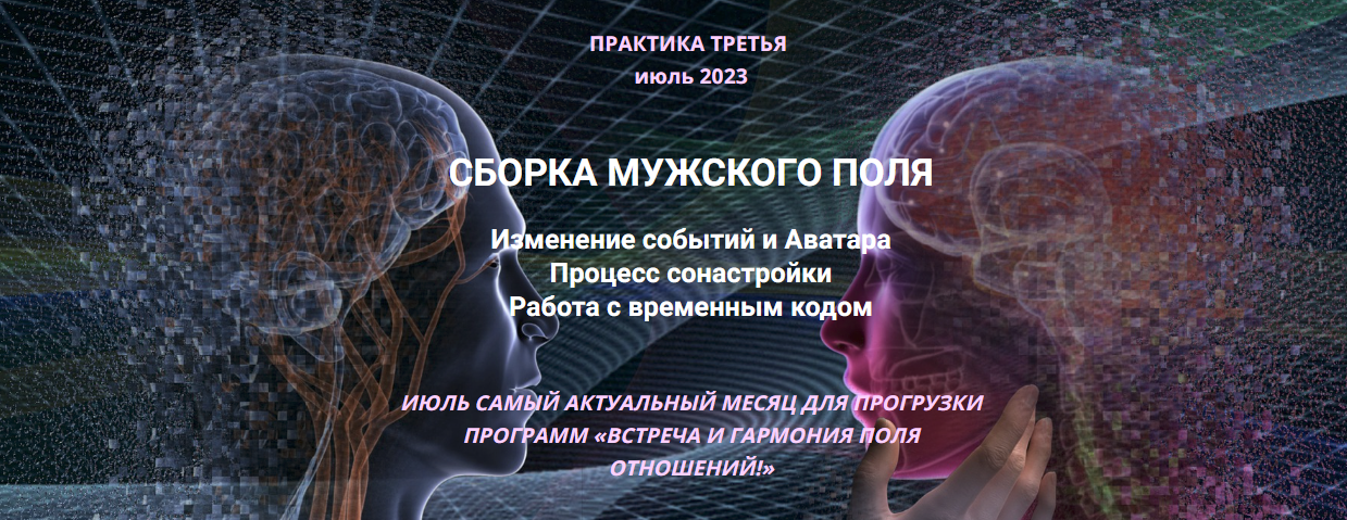 [Эмилия Франк] Сборка мужского поля. Изменение событий и Аватара (2023)