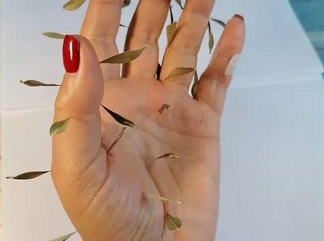 [Сергей Ивченко] Ладка по Ладони. Мастер класс (2023)