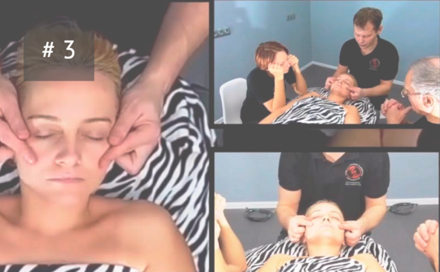 [Николай Монахов] [Академия Spanish Deep Dream] Хиромассаж лица (2025)