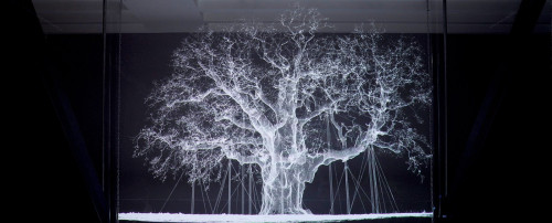 [MMOMA] Ксения Голубович - Предмет искусства: образ, начало (2023)