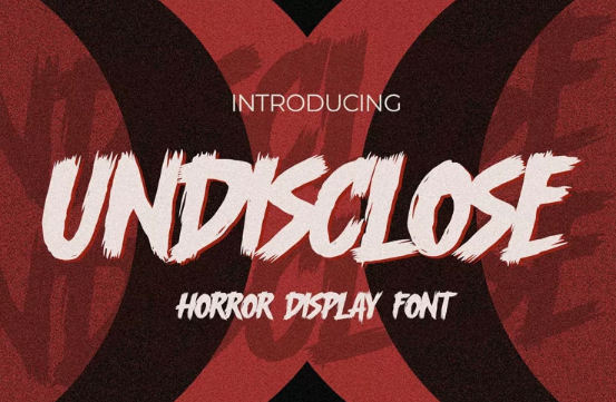 [Fontbundles] Undisclose Font (2022)