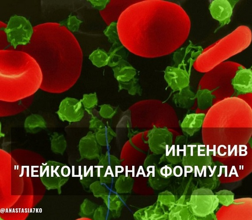 [Анастасия Семко] Лейкоцитарная формула (2024)