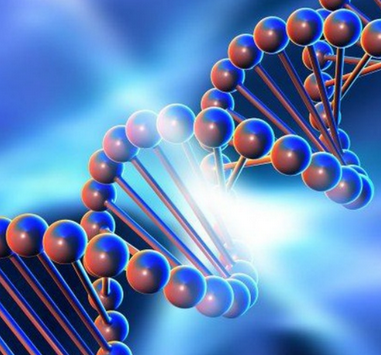 [Genetics FY] Практический курс по детоксу эстрогенов. Тариф Я сам (2024)