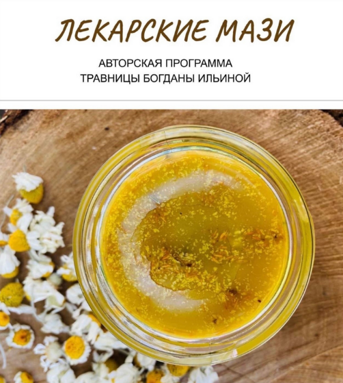 [Богдана Ильина] Лекарские мази (2024)