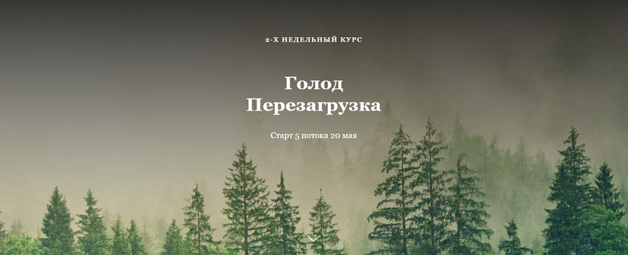 [Алисья Янг] Голод Перезагрузка (2024)