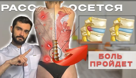 [Андрей Павлов] Фундамент здоровья (2024)