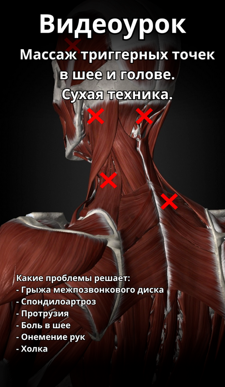 [Артем Пак] Массаж триггерных точек в шее и голове (2024)