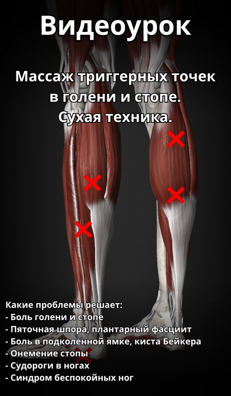 [Артем Пак] Массаж триггерных точек в голени и стопе (2024)