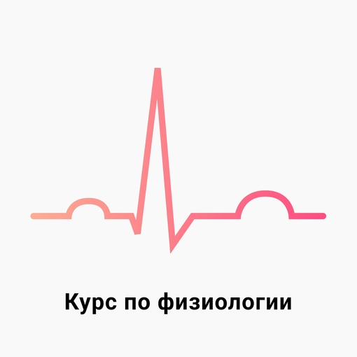 [Medforyou - школа медицины] Физиология (2023)