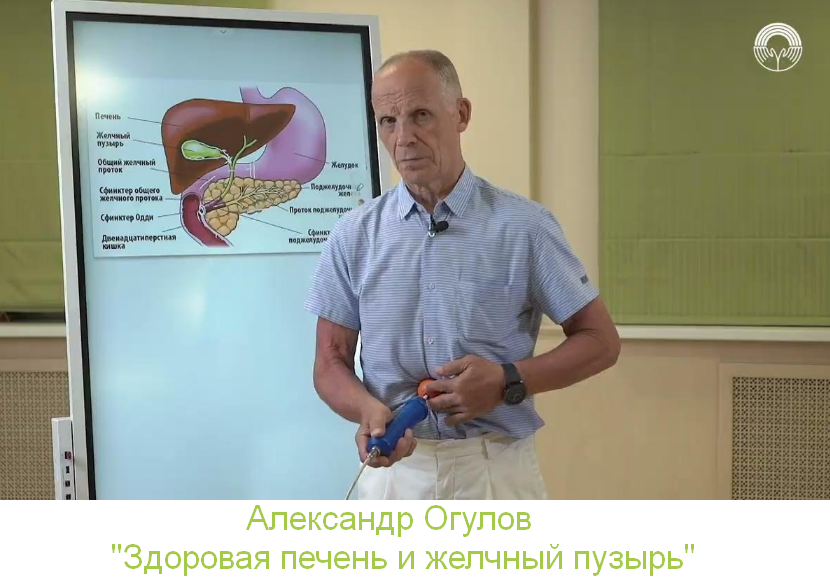 [Александр Огулов] [Академия Огулова] Здоровая печень и желчный пузырь (2023)