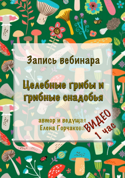 [Елена Горчакова] [Медвежий угол] Целебные грибы и грибные снадобья (2023)