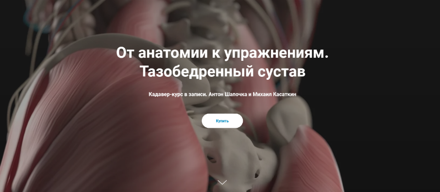 [Антон Шапочка, Михаил Касаткин] От анатомии к упражнениям. Тазобедренный сустав. Кадавер (2022)