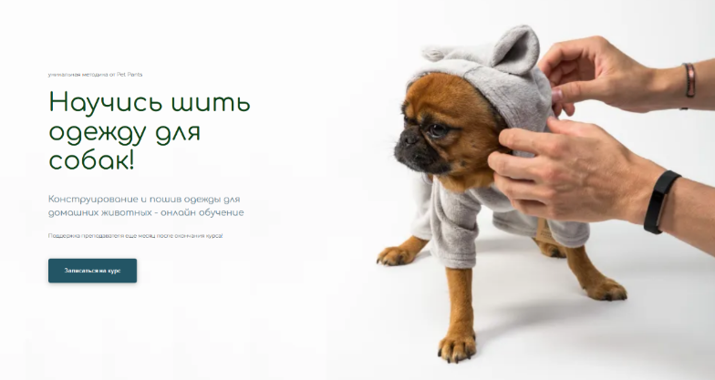 [Антонина Баранова] [Pet Pants] [Шитье] Конструирование и пошив одежды для домашних животных (2022)