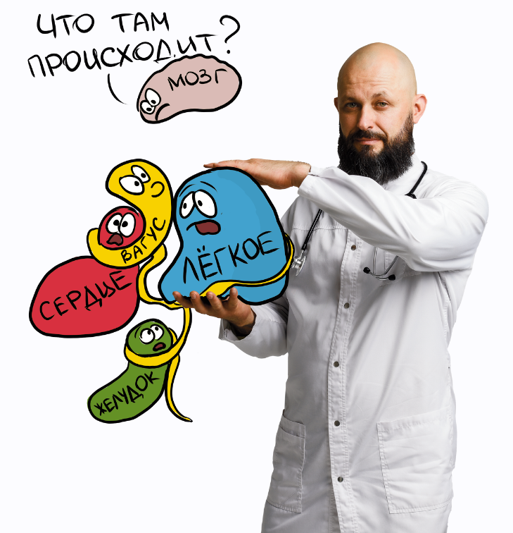 [Алексей Маматов] 4 шага к нормализации блуждающего нерва (2022)