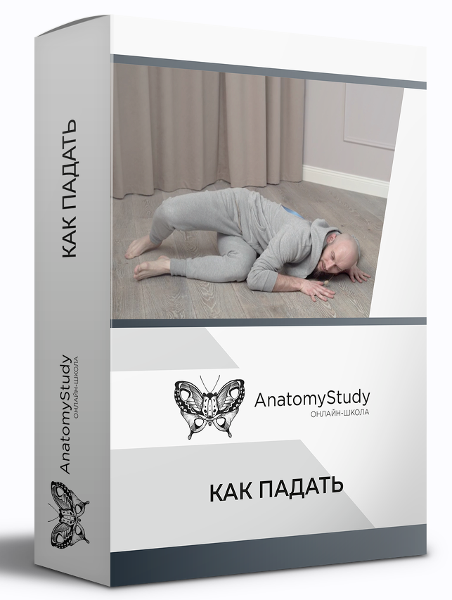 [Игорь Шпиньков] [Анатомия] Как правильно падать (2022)