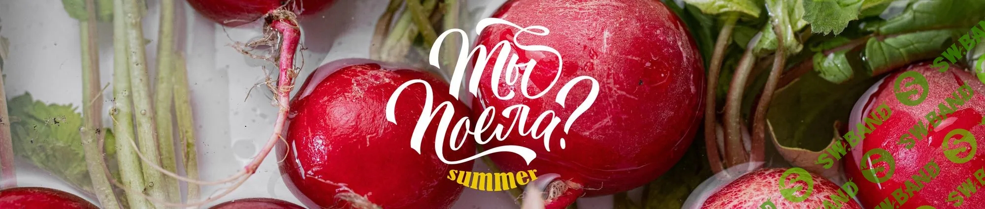 [Олеся Куприн] Кулинарный марафон «Ты поела Summer.23» (2023)