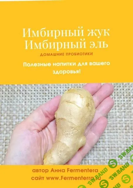 [Fermenterra] Имбирный жук. Имбирный эль (2023)