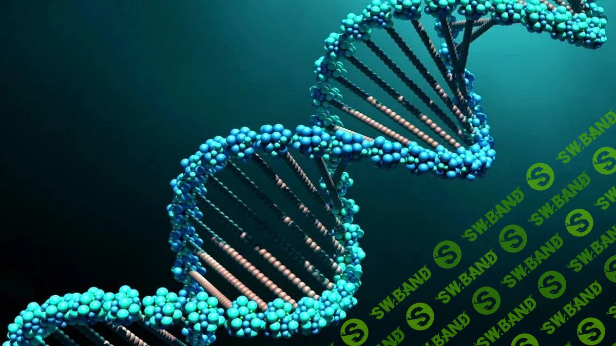 [Екатерина Гарцева] Высоковибрационный интенсив - Сотворение тела (2024)