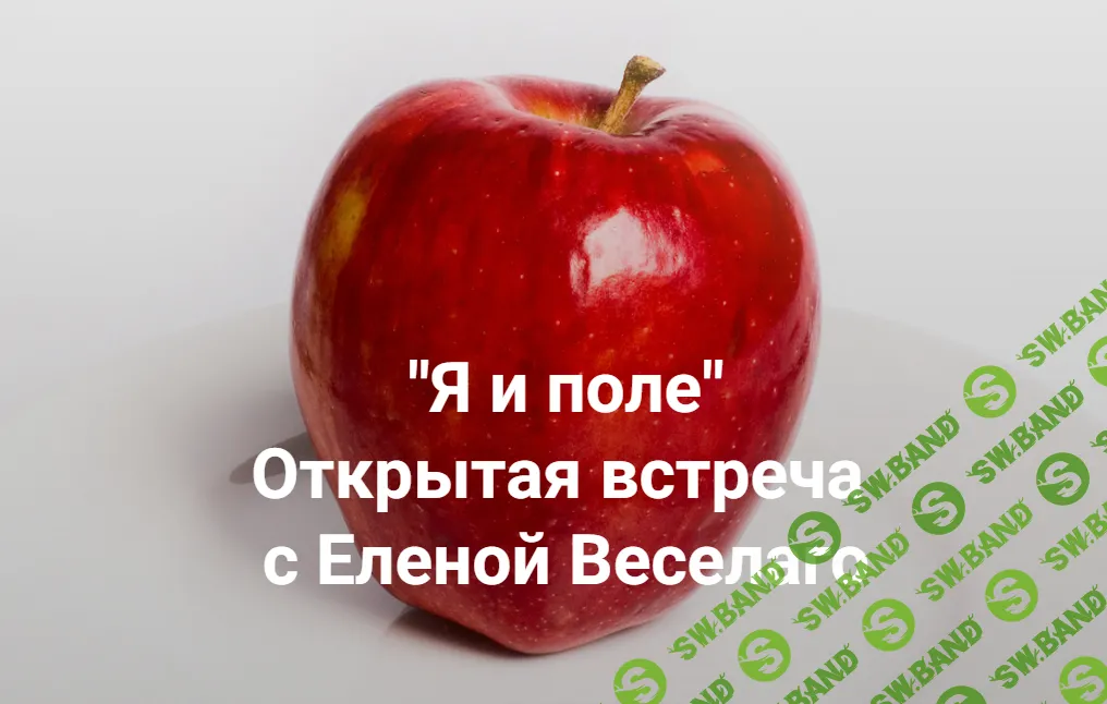 [Институт открытого поля] Я и поле (2024)