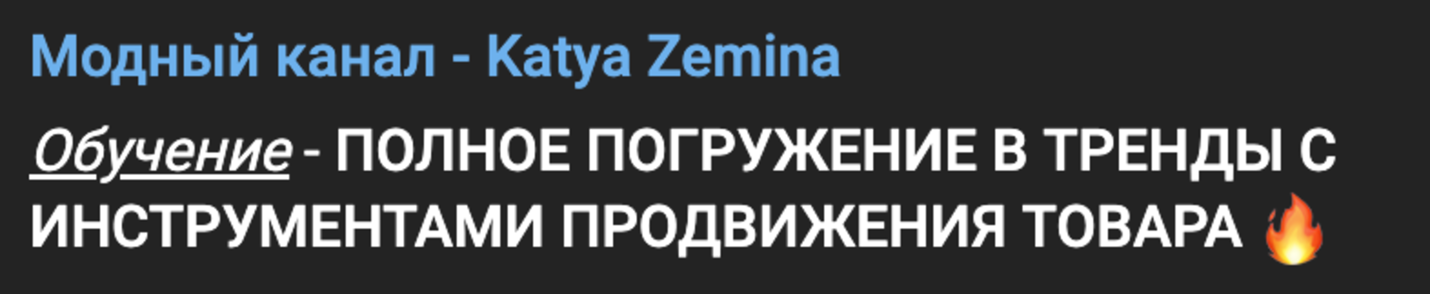 [Екатерина Земина, Дарья Лаиш] Полное погружение в тренды с инструментами продвижения товара (2024)