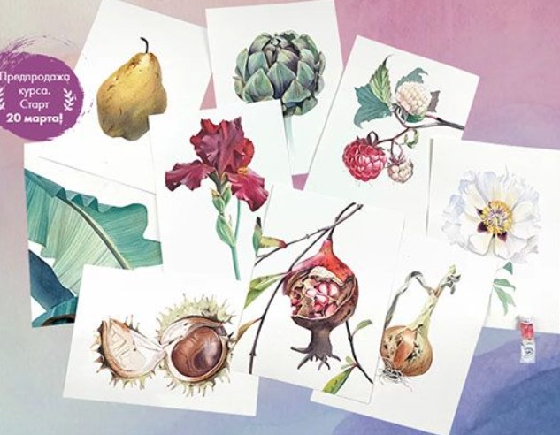 [Дарья Куцаева] Ботаника акварелью 2.0 (2023)