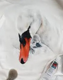 [Vivid blooms] Белый и черный лебеди. Март (2023)