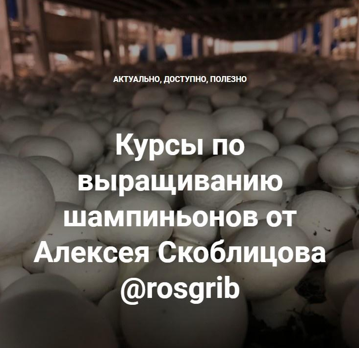 [Алексей Скоблицов] Курсы по выращиванию шампиньонов (2022)