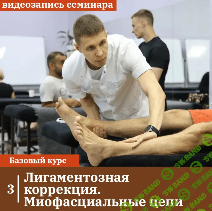 [Максимов А.Ю.] Лигаментозная коррекция. миофасциальные цепи (2023)