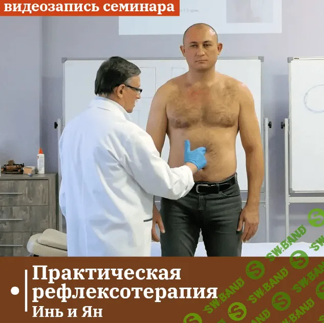 [Сандал] Практическая рефлексотерапия. Инь и Ян (2023)