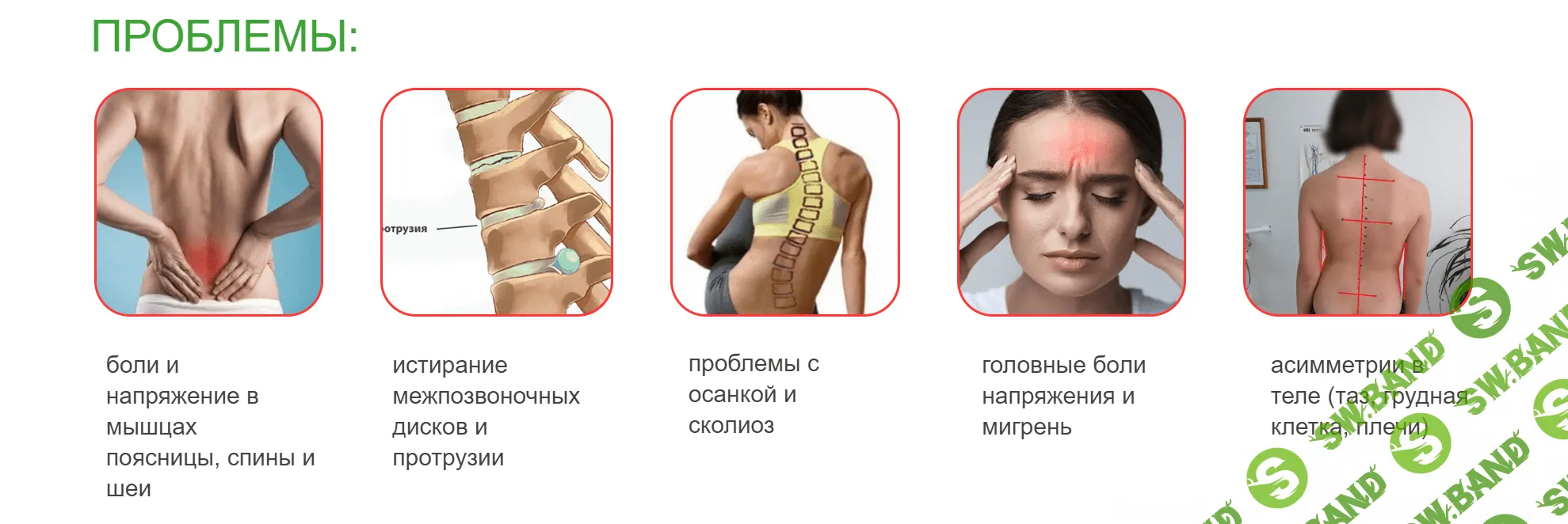 [academy promolodost] Коррекционный курс «PRO-Боль» (2023)