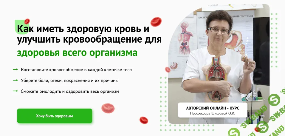 [Ольга Шишова] Как иметь здоровую кровь и улучшить кровообращение для здоровья всего организма (2023)