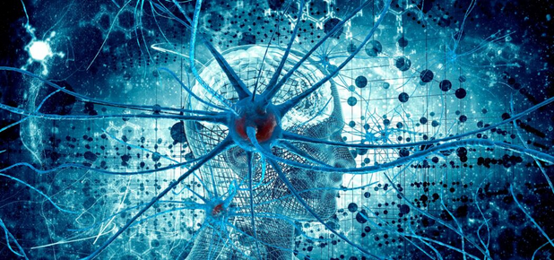 [Ольга Сварник] Введение в когнитивную нейронауку. Лекция 7. Нейронные основы сознания (2025)