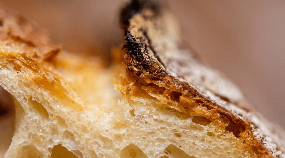 [Владимир Лунин] Пшеничные хлеба на закваске (2022)